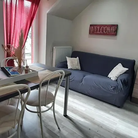 Au Coeur Du Mont-dore Apartment *