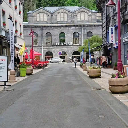 Au Coeur Du Mont-dore *